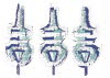 Dscvar1