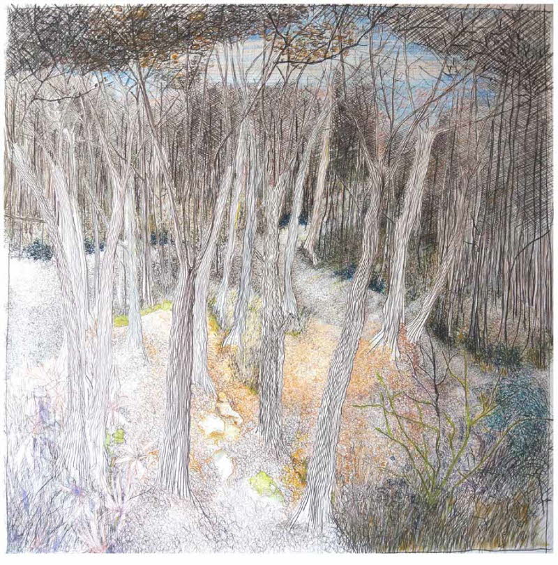 Winterlight 2024-web