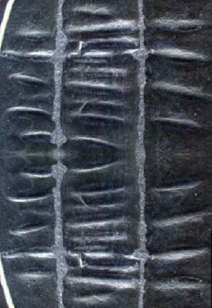 db_P3110659-uj-2a-b-web1